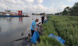 Kocaeli sahillerinden bu yıl 10 ton atık toplandı