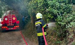 Muğla Menteşe'de ot yangını korkuttu