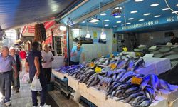 Samsun’da palamut bolluğu: Fiyatlar 50 liradan başlıyor