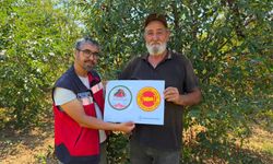 Şaphane vişnesi tescil yolunda ilerliyor
