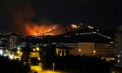 Ankara Mamak’ta ağaçlık alanda yangın