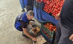 Sincan’da semt pazarlarına kapsamlı denetim
