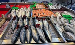 Balık sezonu açıldı! Eylül ayında hangi balıklar tüketilmeli?