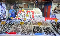 Karadeniz’de palamut bereketi: Fiyatı 50 TL’ye düştü