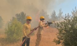 Antalya’da orman yangınına günün ilk ışıklarıyla hava desteği