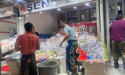 Ankara'da balık sezonu açıldı: Tezgahlar hareketlendi
