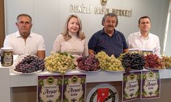 Avşar üzümü tescille taçlandı, festival heyecanı başladı