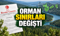 27 ilde hangi alanlar orman sınırından çıkarıldı?
