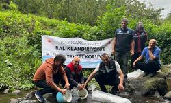 Trabzon’daki Sera Gölü’ne yavru sazan takviyesi