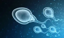 Erkeklerde üreme sağlığı alarmı: Sperm kalitesini etkileyen alışkanlıklar