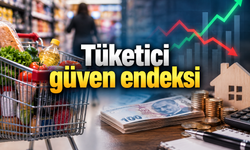 Tüketici güven endeksi eylülde yüzde 1,3 arttı