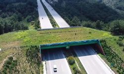 Türkiye'de 21 ekolojik köprü tamamlandı