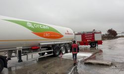 Bolu TEM Otoyolu'nda LPG yüklü tırda yangın