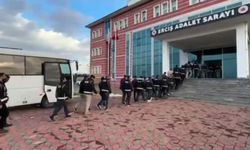 Van’da silah ve tefecilik operasyonu: 10 kişi tutuklandı