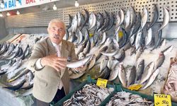 Palamut fiyatları düştü! Kilosu 100 TL'ye geriledi