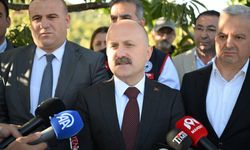 Türkiye'de kestane üretiminin yarısı Aydın'dan