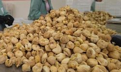 Kuru incirde 2026-2027 sezonu fiyatları belli oldu