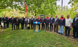 Adilcevaz cevizinde hasat sezonu başladı