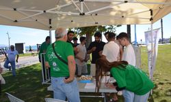 Didim Zeytin Festivali başladı: Hedef Guinness rekoru
