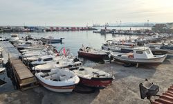 Karadeniz'de fırtınanın ardından ağlar yeniden denize bırakıldı