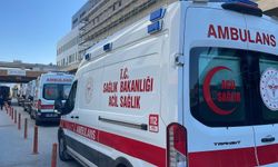 Karaman'da zeytin işçilerini taşıyan patpat kontrolden çıktı: 8 yaralı