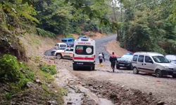 Kestane toplamaya gitti, ormanda ölü bulundu