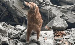 Deprem kahramanı Killian'ın heykeli İsveç'te açıldı
