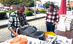 Doğu Karadeniz'de palamut bolluğu: 3 tanesi 100 TL