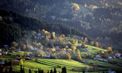 Artvin Şavşat sonbahar renklerine büründü