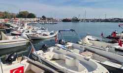 Marmara Denizi’nde fırtına sonrası palamut mesaisi yeniden başladı