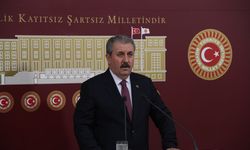 Destici: Avrupa'daki vatandaşlarımız sahipsiz değildir