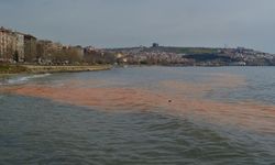 Marmara Denizi turuncuya boyand