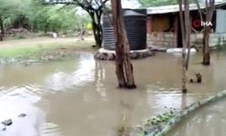 Kenya'da sel felaketi: 194 ölü