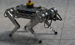 Uzaya gitmek isteyen ilk Türk robot “Miniada”