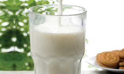 Eroğlu: Süt verimi AB ortalamasının yarısı kadar