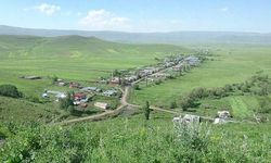 Ardahan'da bir köyde uygulanan karantina kaldırıldı