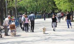 Başkentliler sıcak havanın etkisiyle parklara akın etti