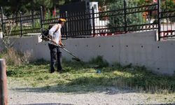 Beypazarı Belediyesi ot biçimi çalışmalarını sürdürdü
