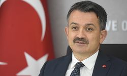 Bakan Pakdemirli: 'Türkiye kuru üzüm ihracatında dünyada birinci sırada'