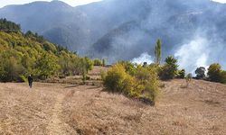 Kastamonu'daki orman yangınları söndürüldü