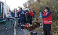Düzensiz göçmenleri taşıyan minibüs takla attı: 2 ölü, 27 yaralı