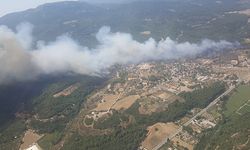 İzmir'de 430 hektar ormanın yanmasına neden olduğu iddia edilen şüpheliye dava