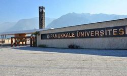 Pamukkale Üniversitesi Öğretim Görevlisi alım ilanı