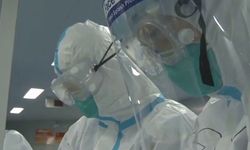 Dünya Sağlık Örgütü ekibi korona virüsün kökenini açıkladı