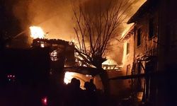 Nallıhan'da çıkan yangında 2 ev yandı: 1 yaralı