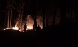Düzce'deki orman yangını kontrol altına alındı