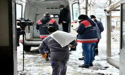 Ankara Büyükşehir Belediyesi'nden can dostlar için soğuk günlerde gönüllülerle iş birliği