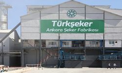 Ankara Şeker Fabrikası'ndan tüm zamanların en "tatlı" rekoru