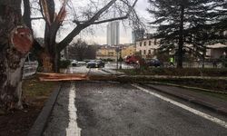 Türkiye Büyük Millet Meclisi bahçesine yıldırım düştü. Bir ağaç yıldırım düşmesi sonucu yarıldı.