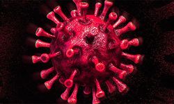 Korona virüsün Delta mutasyonu Ukrayna'ya sıçradı